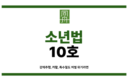 소년법10호