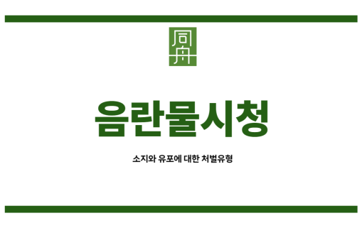 음란물시청 청소년<br style=