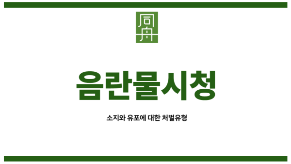 음란물시청 청소년&lt;br style=