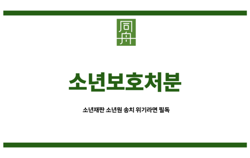 소년보호처분