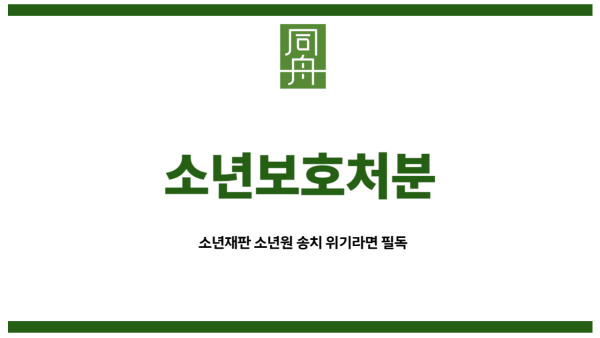 소년보호처분