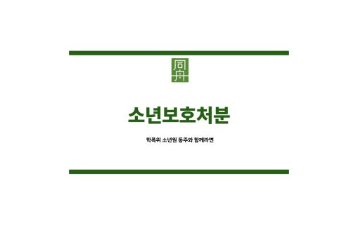 소년보호처분