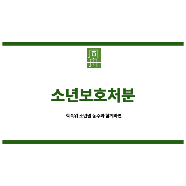 소년보호처분