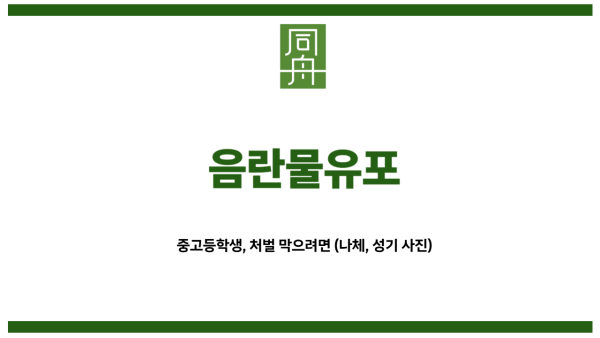 음란물유포