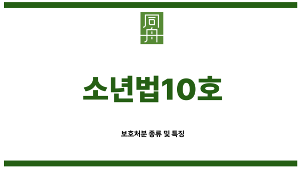 소년보호처분 항고
