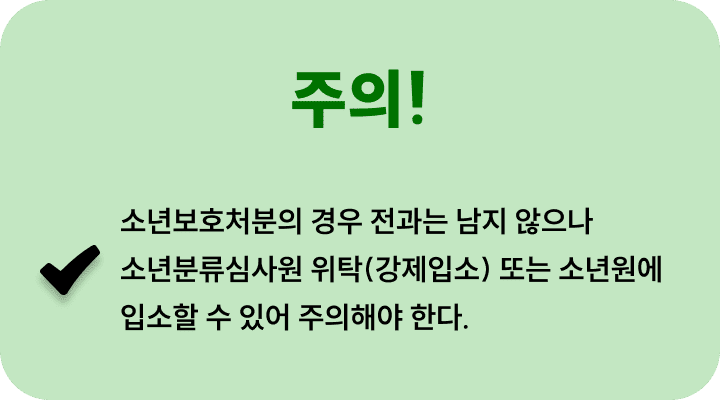 조력절차-소년보호재판주의점